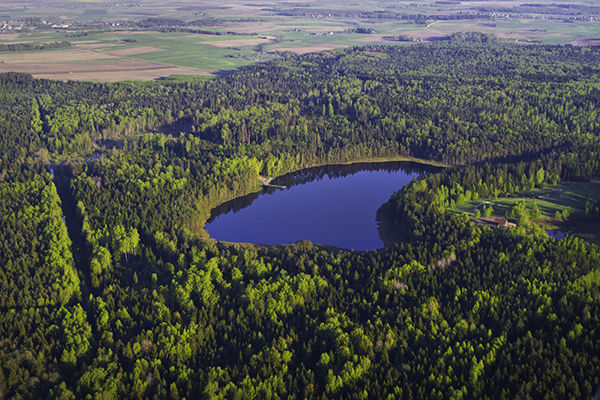 Rytinėje parko dalyje