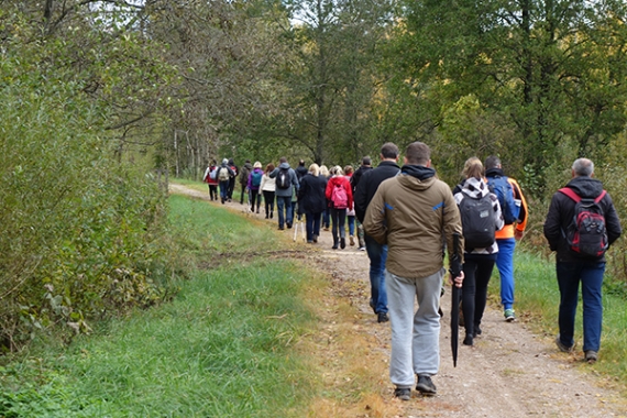 Keliaujantiems: trasos, pažintiniai takai