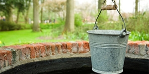 Nitratų ir nitritų tyrimai